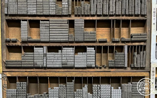 Many worn woodenshelves with nooks for metal type of different Latin letters in different typefaces.